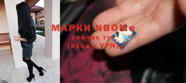 apvp Алексин